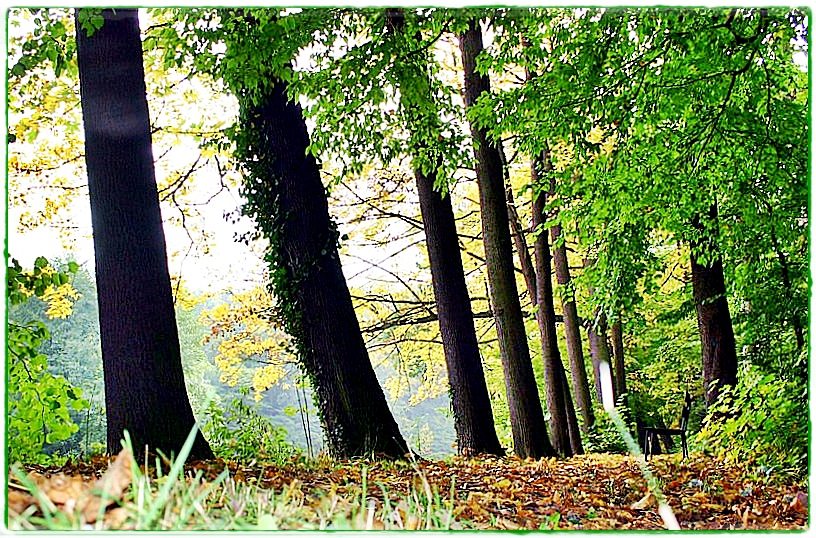 Herbstspaziergang