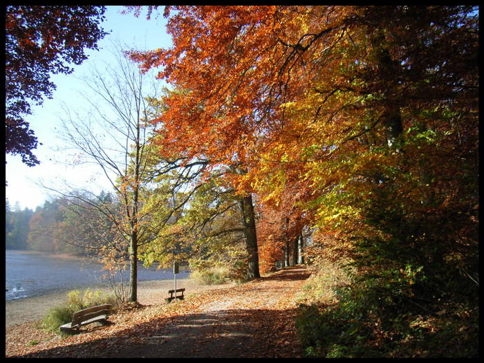 Herbstspaziergang