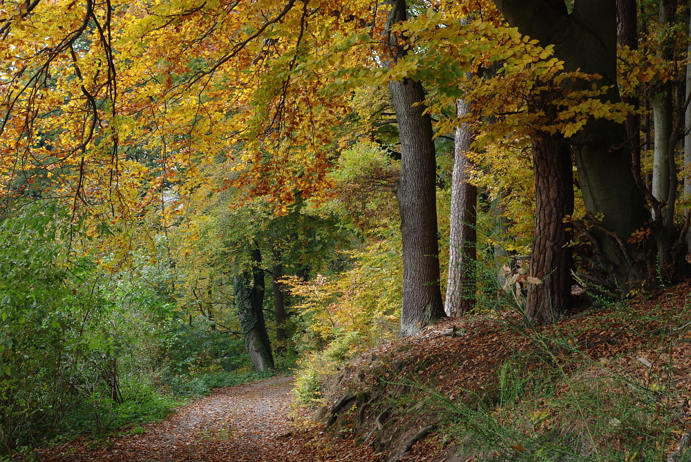 Herbstspaziergang