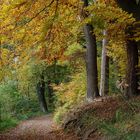 Herbstspaziergang