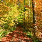 Herbstspaziergang