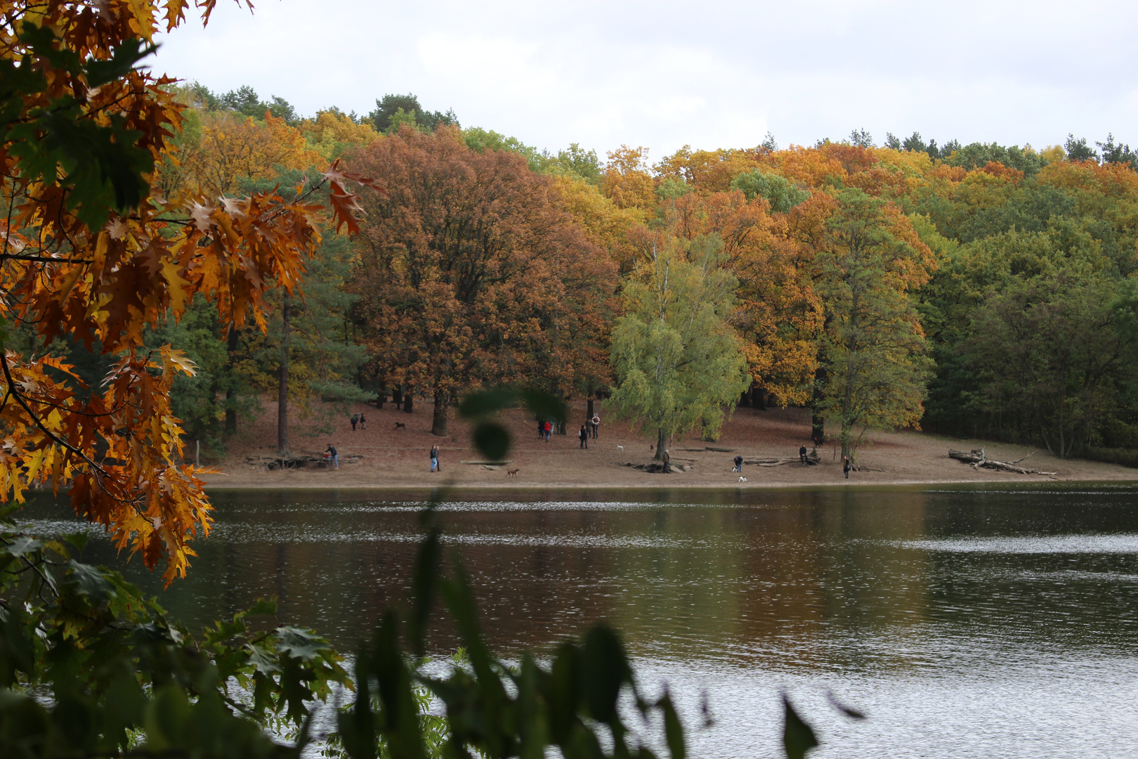 Herbstspaziergang