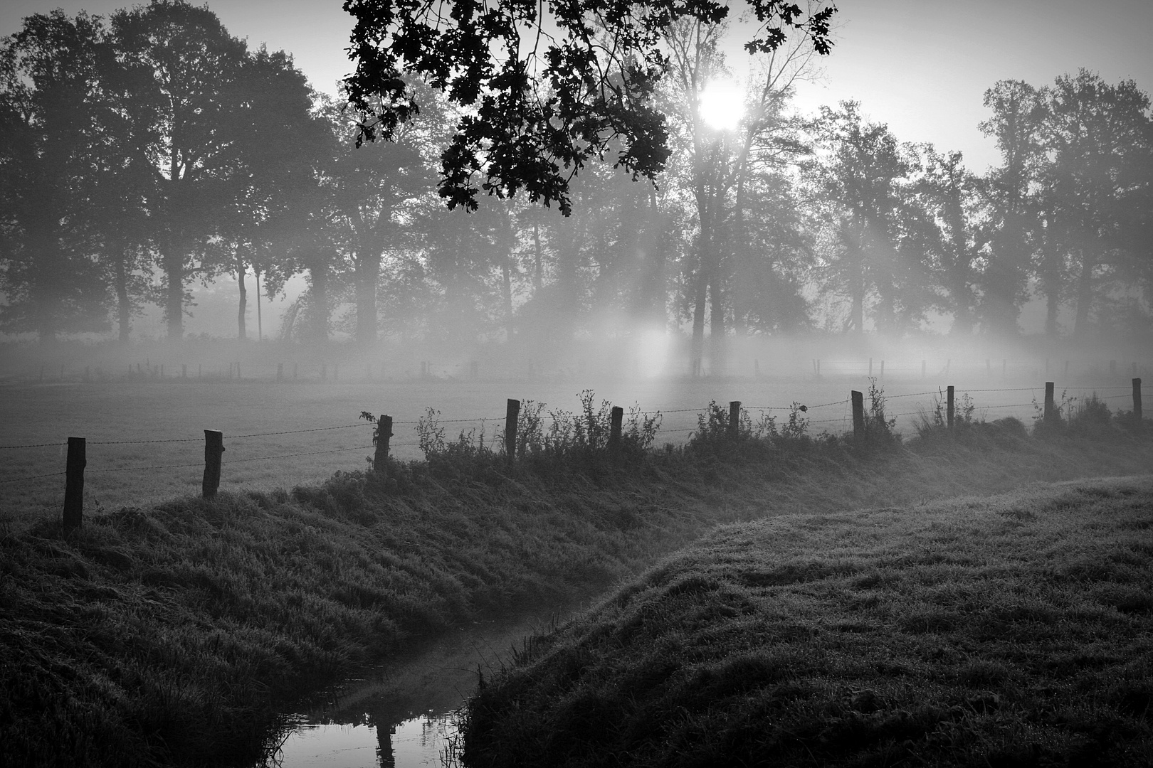 Herbstspaziergang