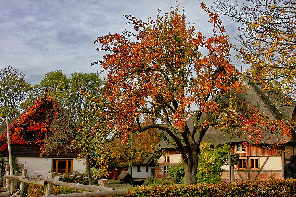 Herbstspaziergang