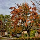 Herbstspaziergang