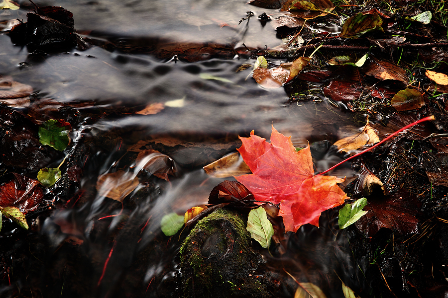 Herbstspaziergang