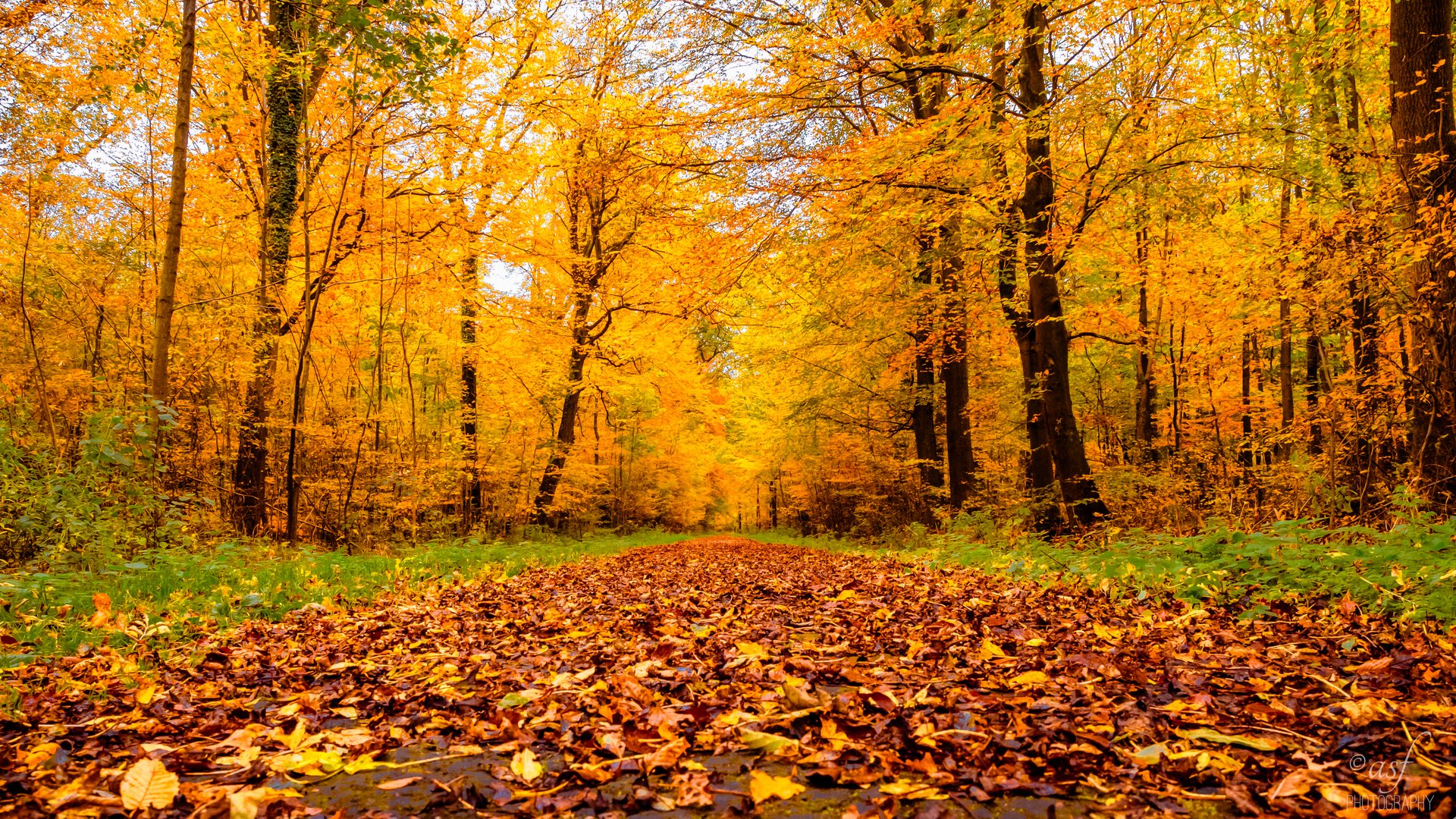 Herbstspaziergang