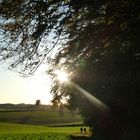 Herbstspaziergang 