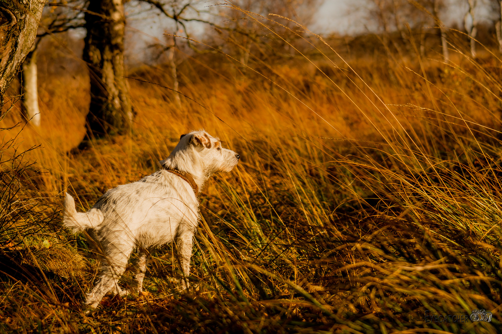 Herbstspaziergang