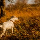 Herbstspaziergang