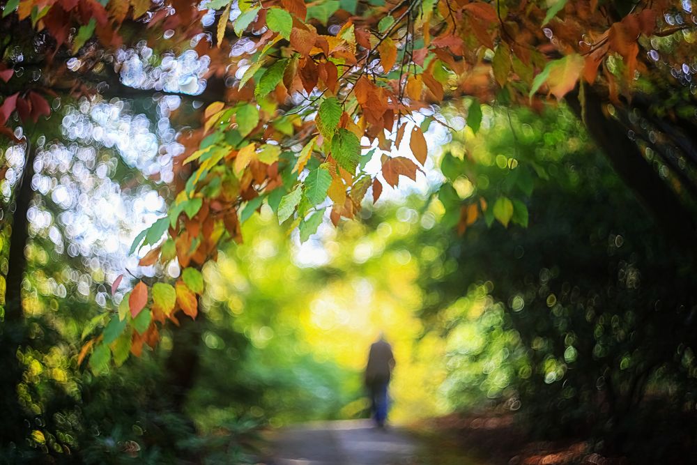 Herbstspaziergang