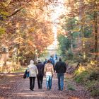 Herbstspaziergang