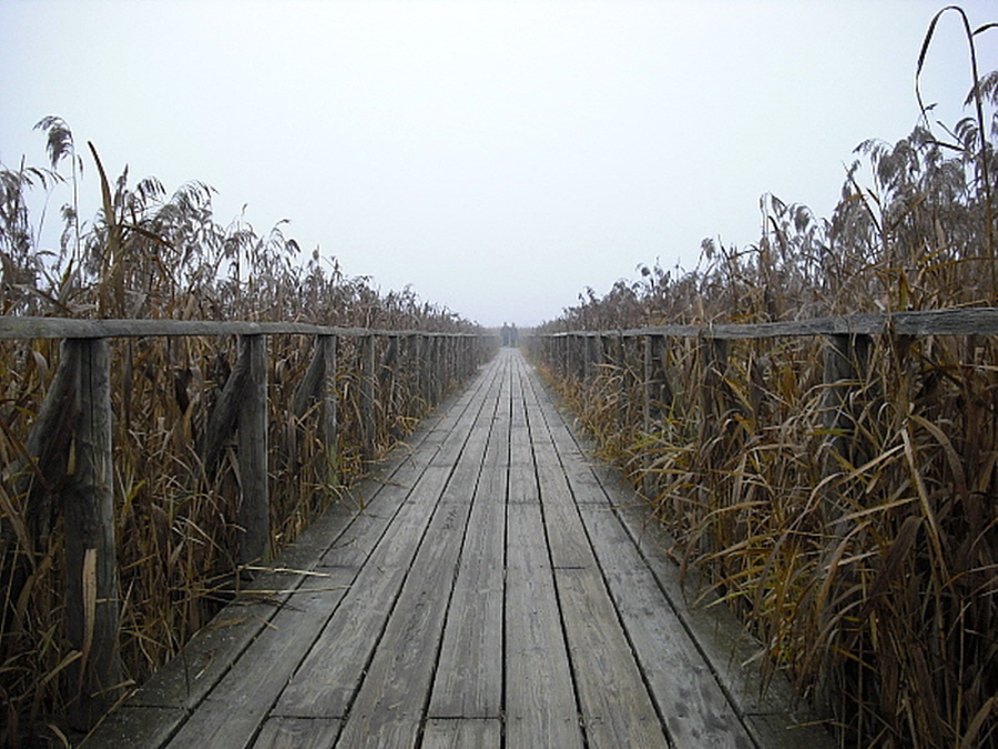 Herbstspaziergang