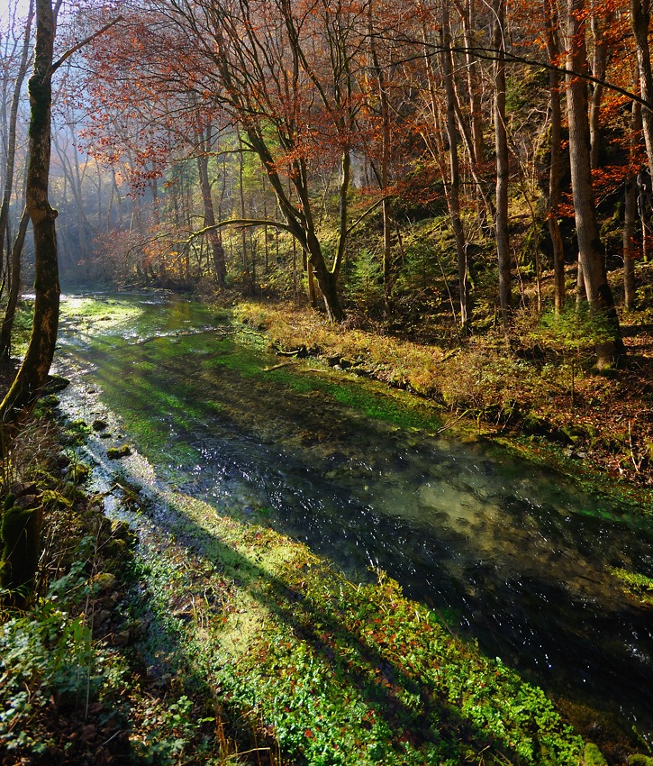 Herbstspaziergang