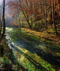 Herbstspaziergang