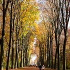 Herbstspaziergang