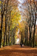 Herbstspaziergang