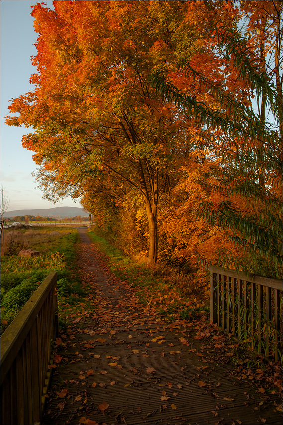 "HERBSTSPAZIERGANG"