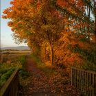 "HERBSTSPAZIERGANG"