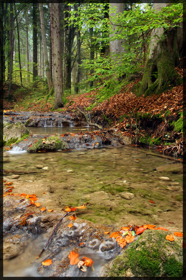 Herbstspaziergang