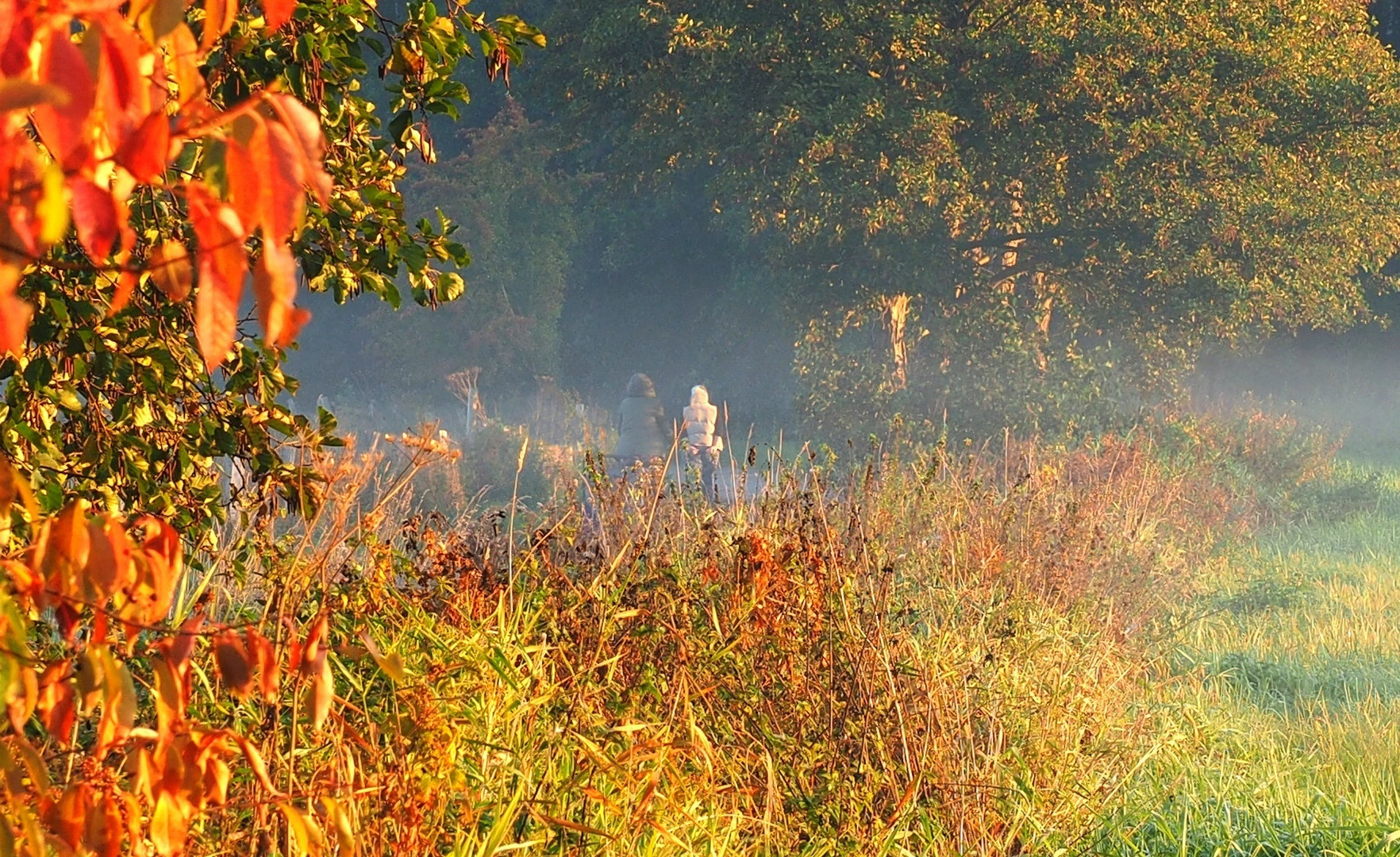 Herbstspaziergang