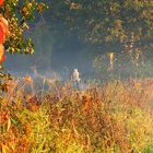 Herbstspaziergang