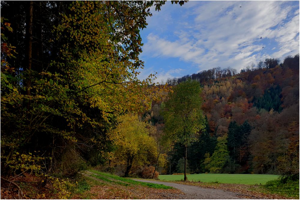 Herbstspaziergang