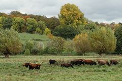 Herbstspaziergang