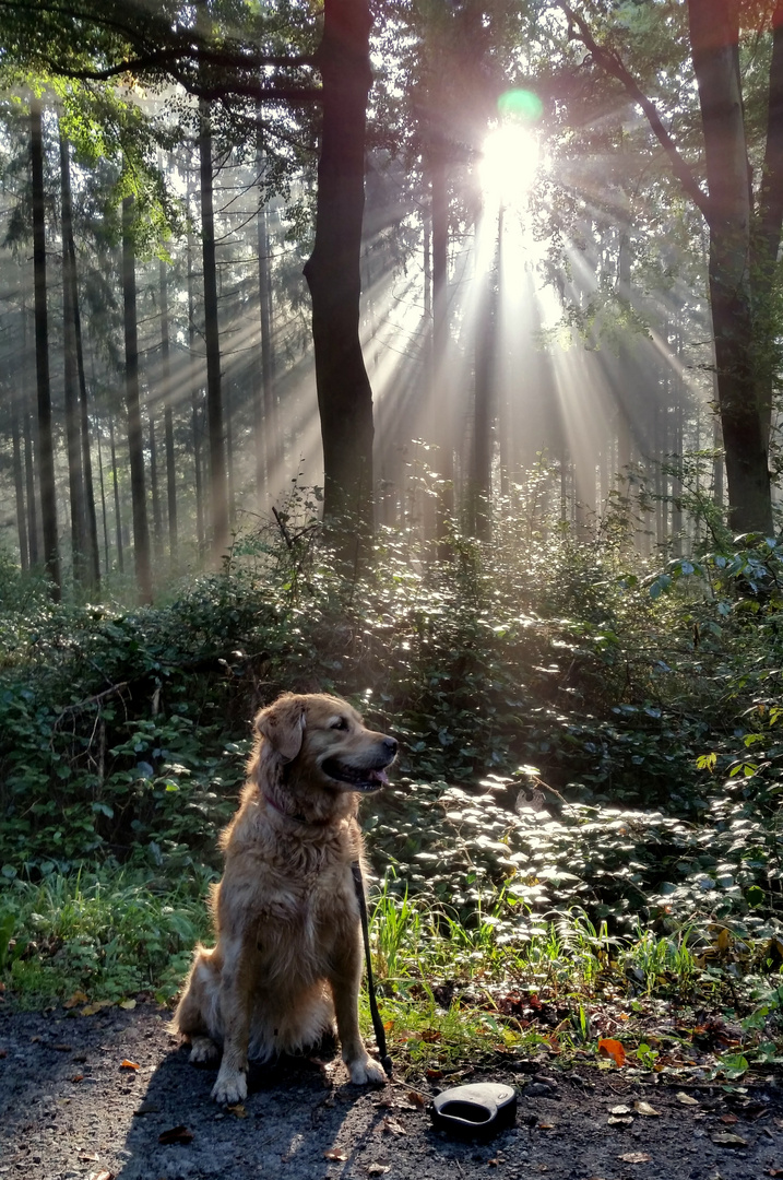 Herbstspaziergang