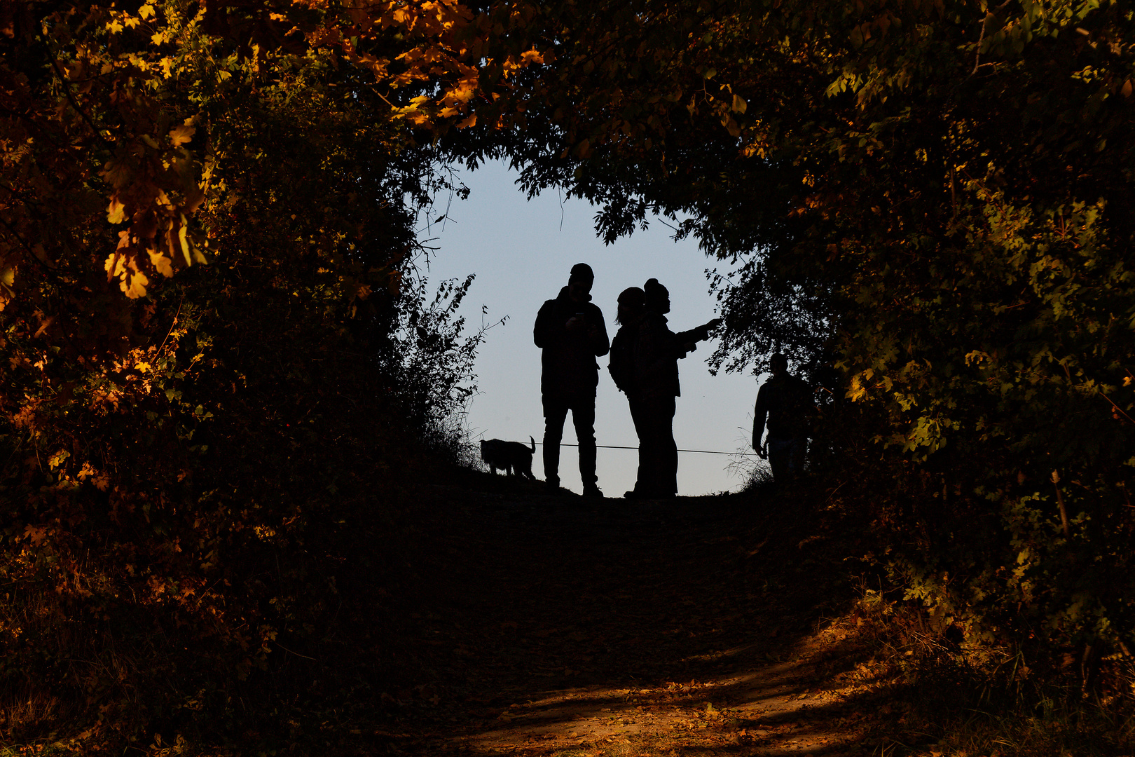 Herbstspaziergang 