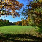 Herbstspaziergang 4