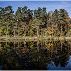 Herbstspaziergang (4) Stilles Wasser