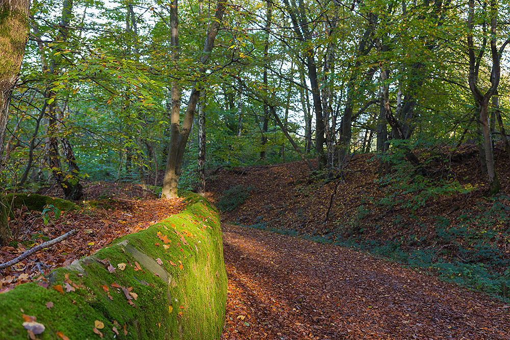 Herbstspaziergang