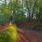 Herbstspaziergang