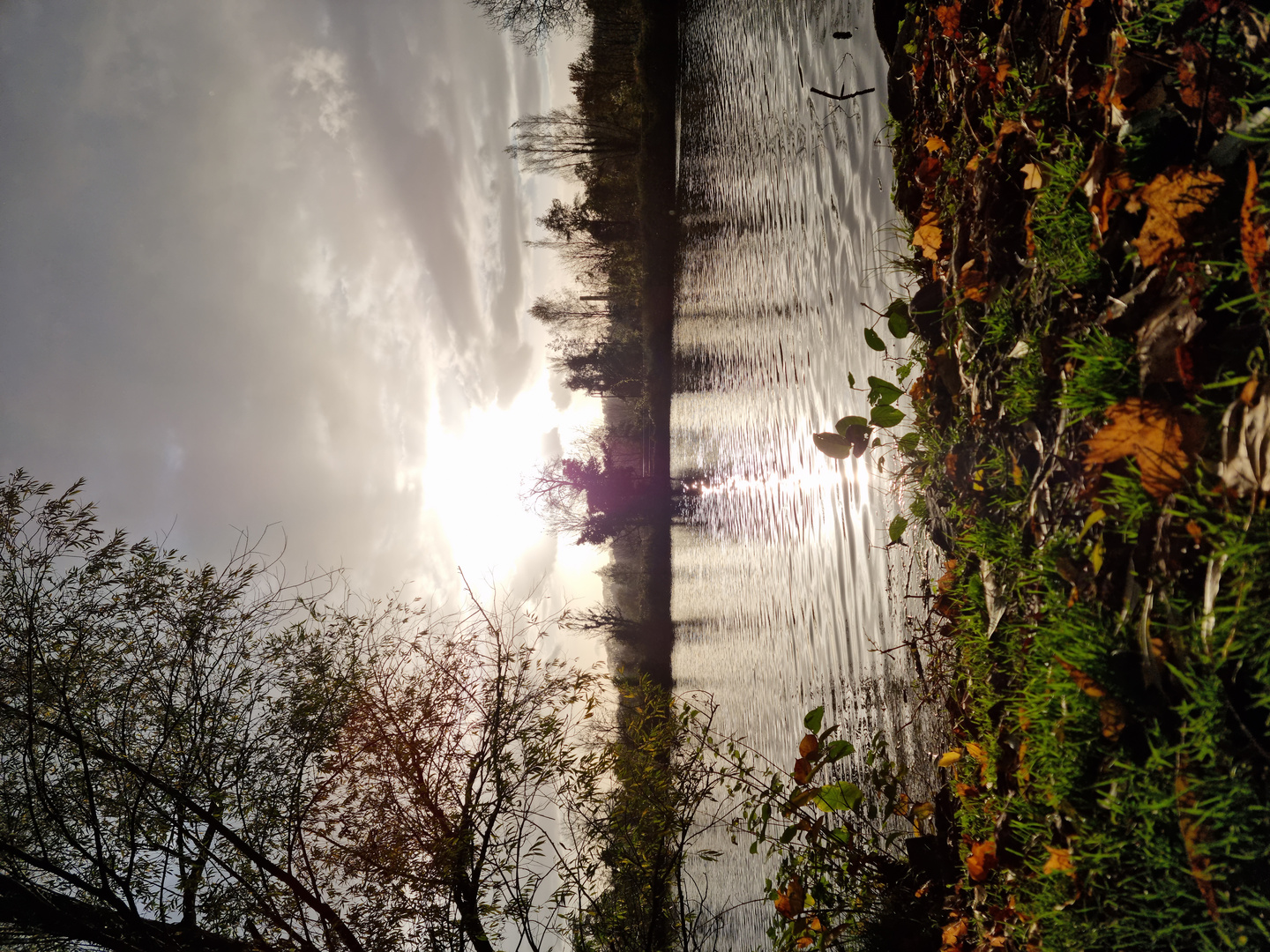 Herbstspaziergang