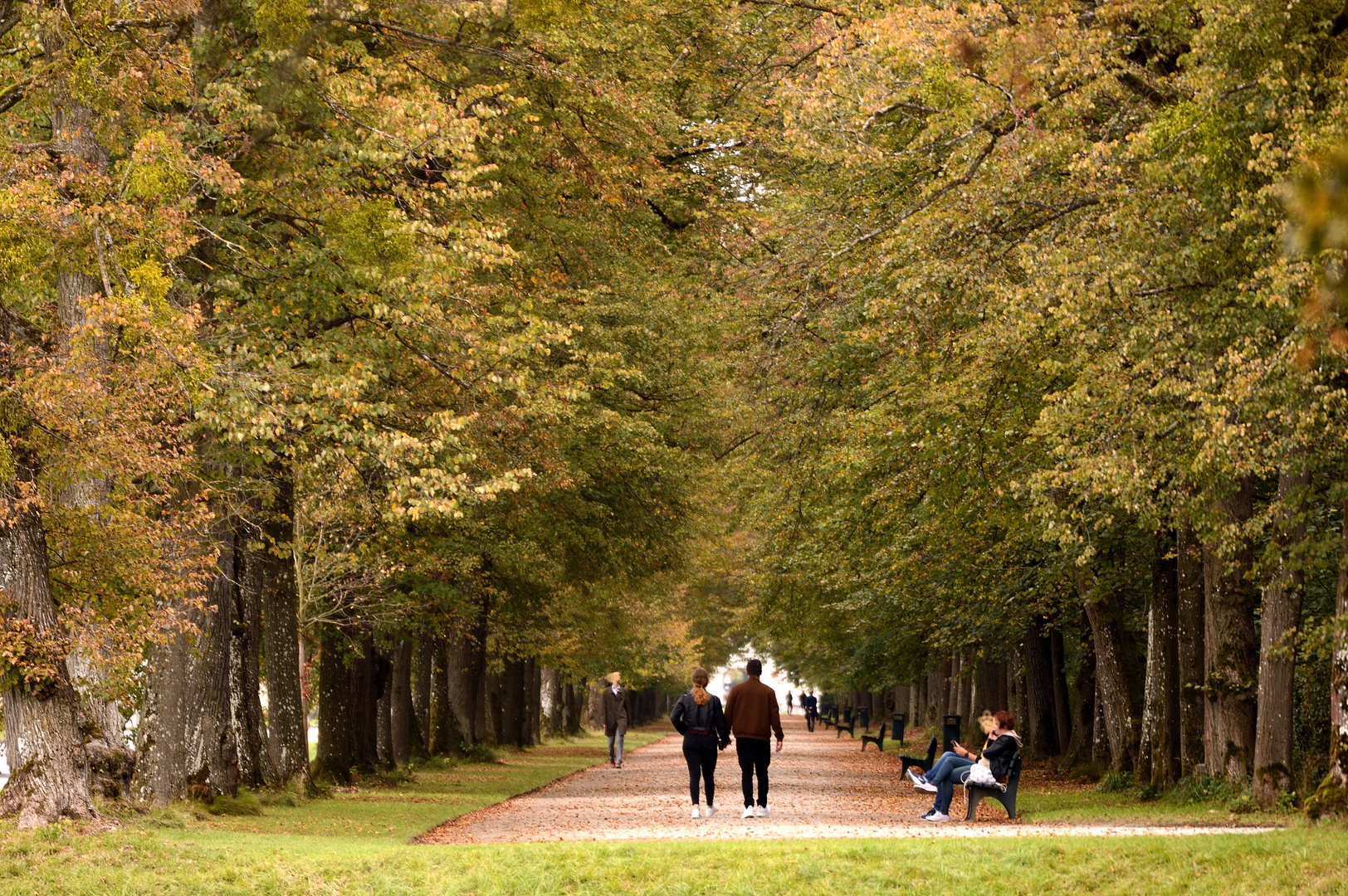 Herbstspaziergang