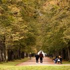 Herbstspaziergang