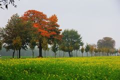 "Herbstspaziergang!"