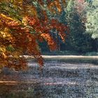 Herbstspaziergang