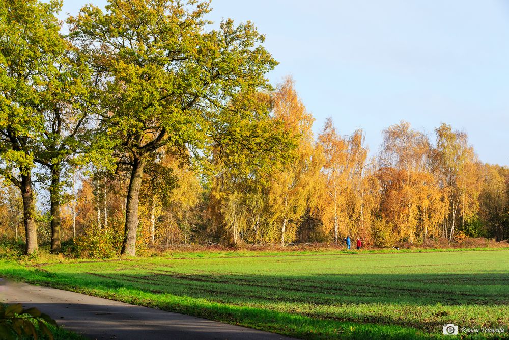 Herbstspaziergang