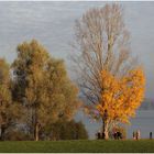 Herbstspaziergang