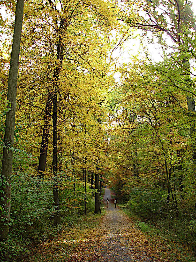 Herbstspaziergang