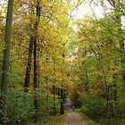 Herbstspaziergang