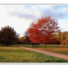 Herbstspaziergang