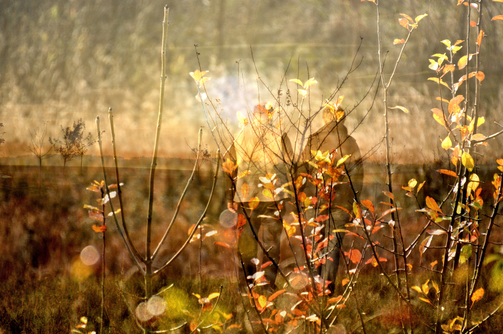 Herbstspaziergang