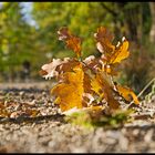 Herbstspaziergang