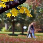 Herbstspaziergang....