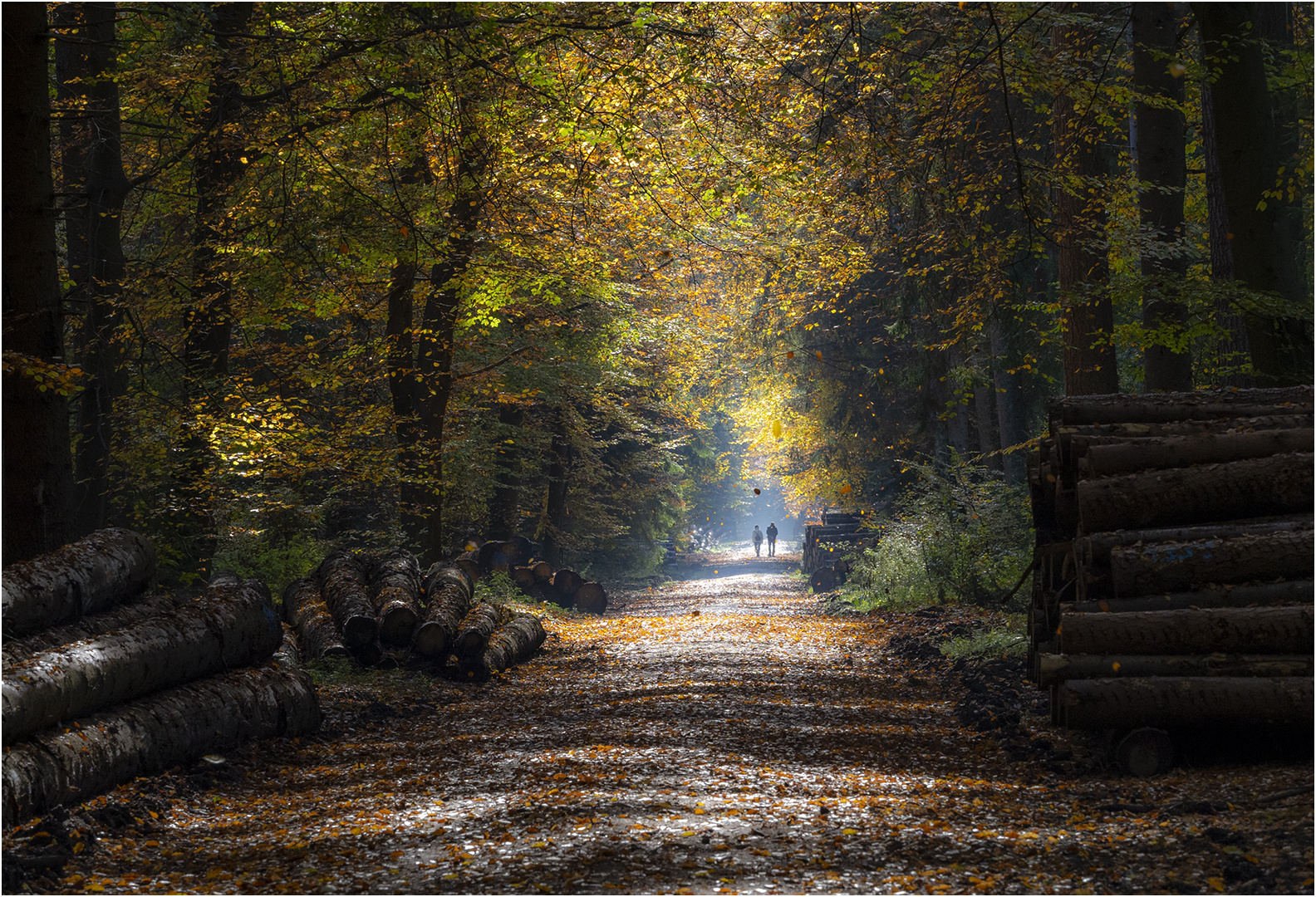 Herbstspaziergang