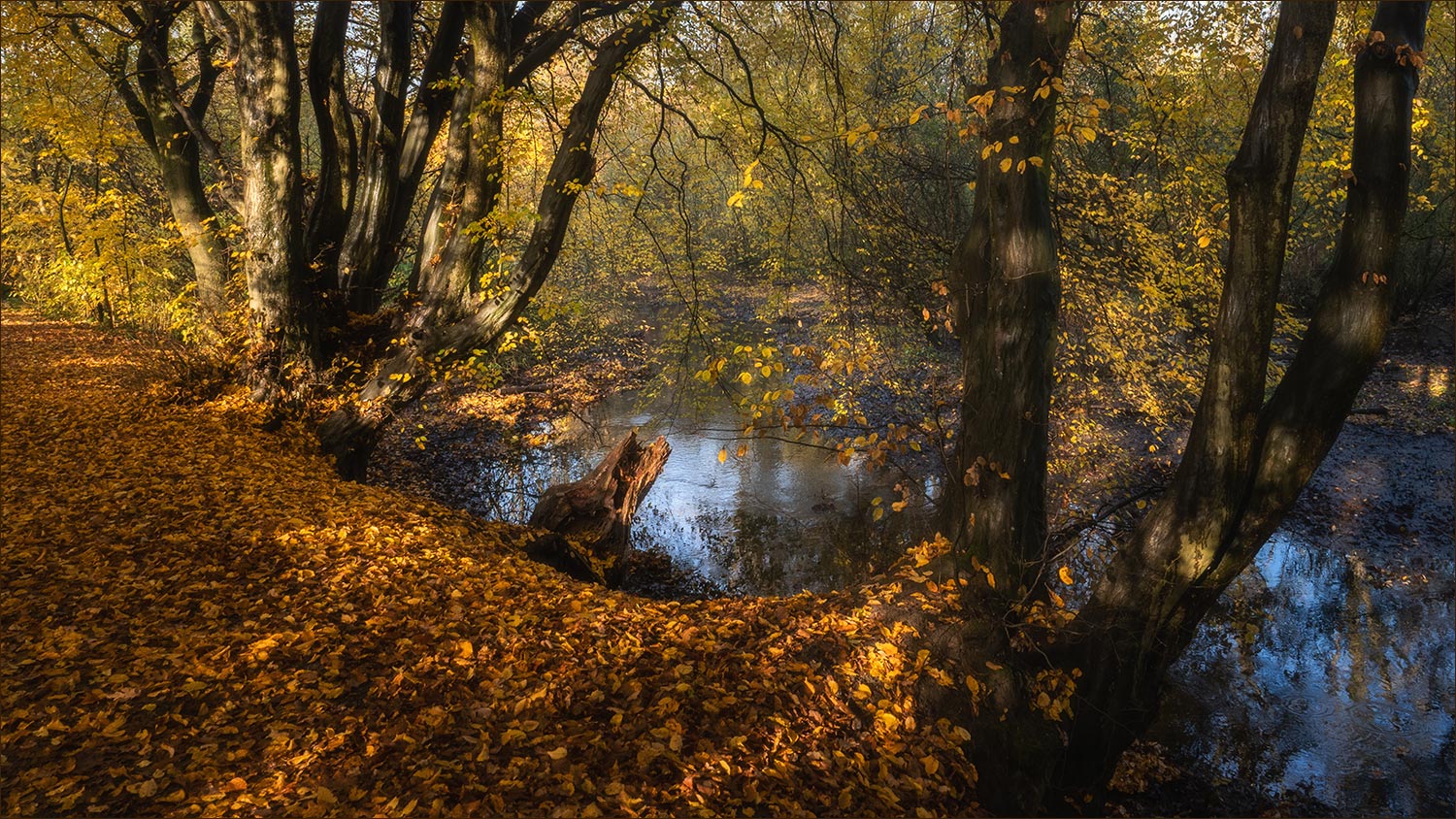 Herbstspaziergang ...