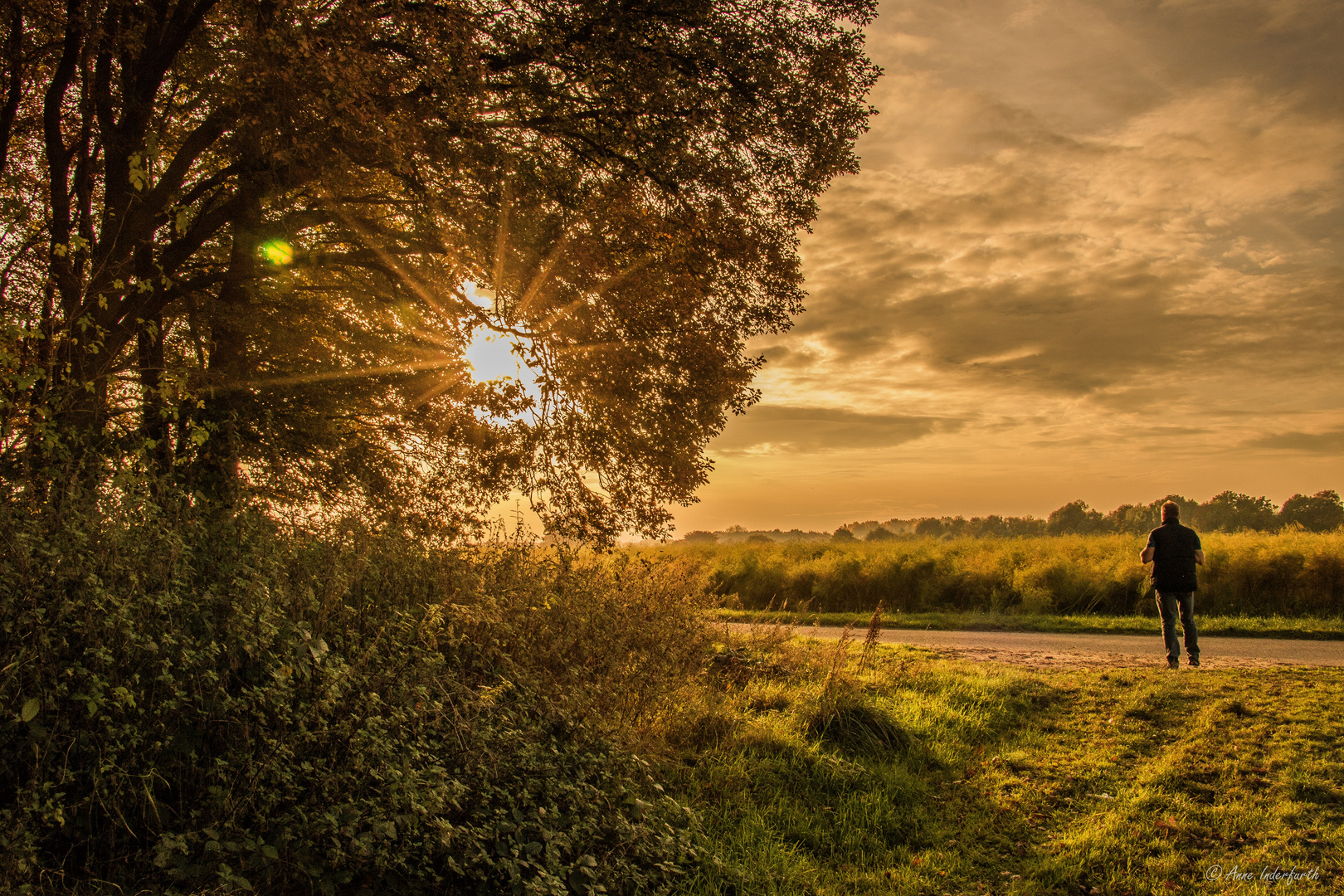 Herbstspaziergang